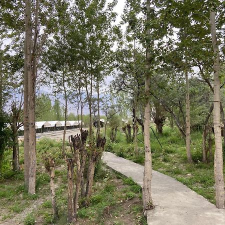 Ladakh Mountian Escape Camp By Lexstays Leh Exterior foto